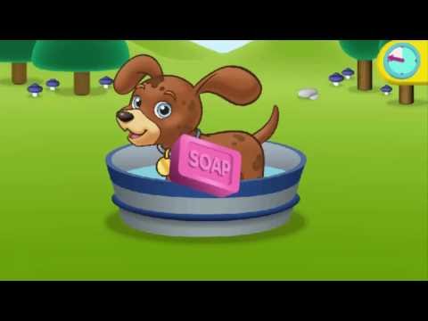 bernedoodle puppies for sale florida mini bernedoodle puppies 2017 www bouncingbernedoodles puppies bernedoodle puppies for sale florida mini bernedoodle puppies 2017 www bouncingbernedoodles puppies