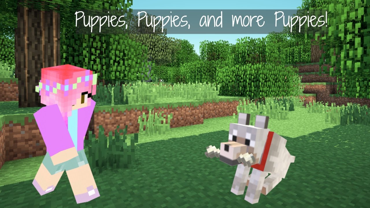 puppies and more puppies puppies and more puppies 101 dogs challenge episode 2 minecraft puppies and more puppies puppies and more puppies 101 dogs challenge episode 2 minecraft