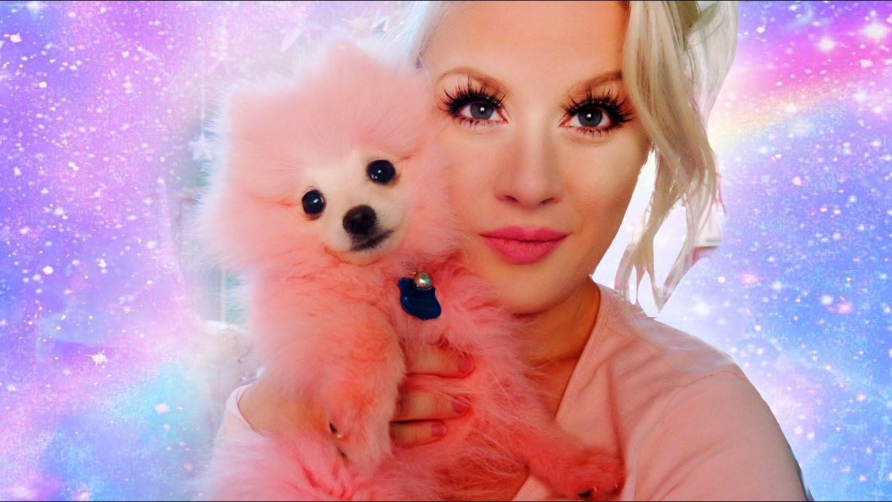 pink puppies pink puppies and letters puppies pink puppies pink puppies and letters puppies