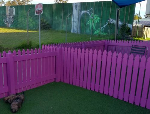 how to take care of a baby shih tzu pet care puppy doctor learn colors baby learn to take how to take care of a baby shih tzu pet care puppy doctor learn colors baby learn to take