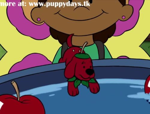 puppy pals season 1 episode 19 милый слайд hi puppies puppies puppy pals season 1 episode 19 милый слайд hi puppies puppies