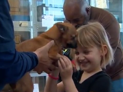 Watch Puppy who overdosed on heroin greets new owner with kisses