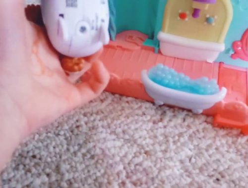 how to wean puppies to solid food how to wean chihuahua puppies 4 weeks solid food puppies how to wean puppies to solid food how to wean chihuahua puppies 4 weeks solid food puppies