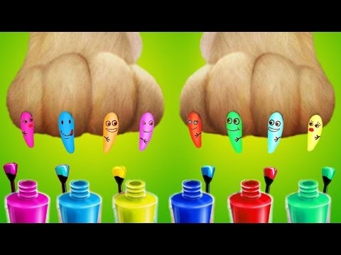 Fun Animal Pet Care – Makeup Doctor Dress Up Bath Kids Games Puppy Dog Playhouse – Baby Gameplay