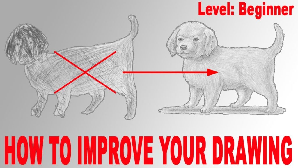 Drawing Dog Puppy – How To Improve Your Drawing || HowToSBS