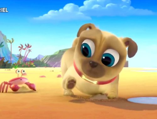 puppy pals theme song harland williams archives puppies puppy pals theme song harland williams archives puppies