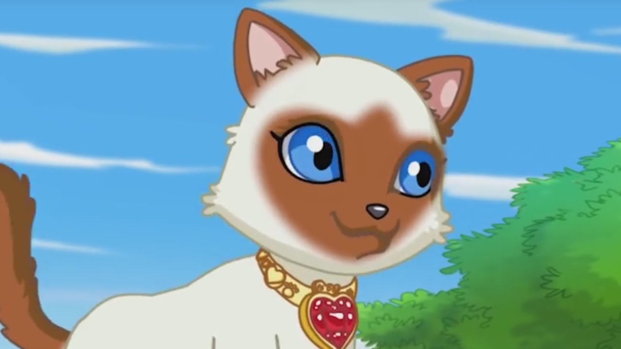 Щенок в моем кармане мультсериал 2011. Щенок в моем кармане. Щенок в моем кармане принцесса. Щенок в моем кармане мультсериал 2011. Щенок в моем кармане принцесса эми.