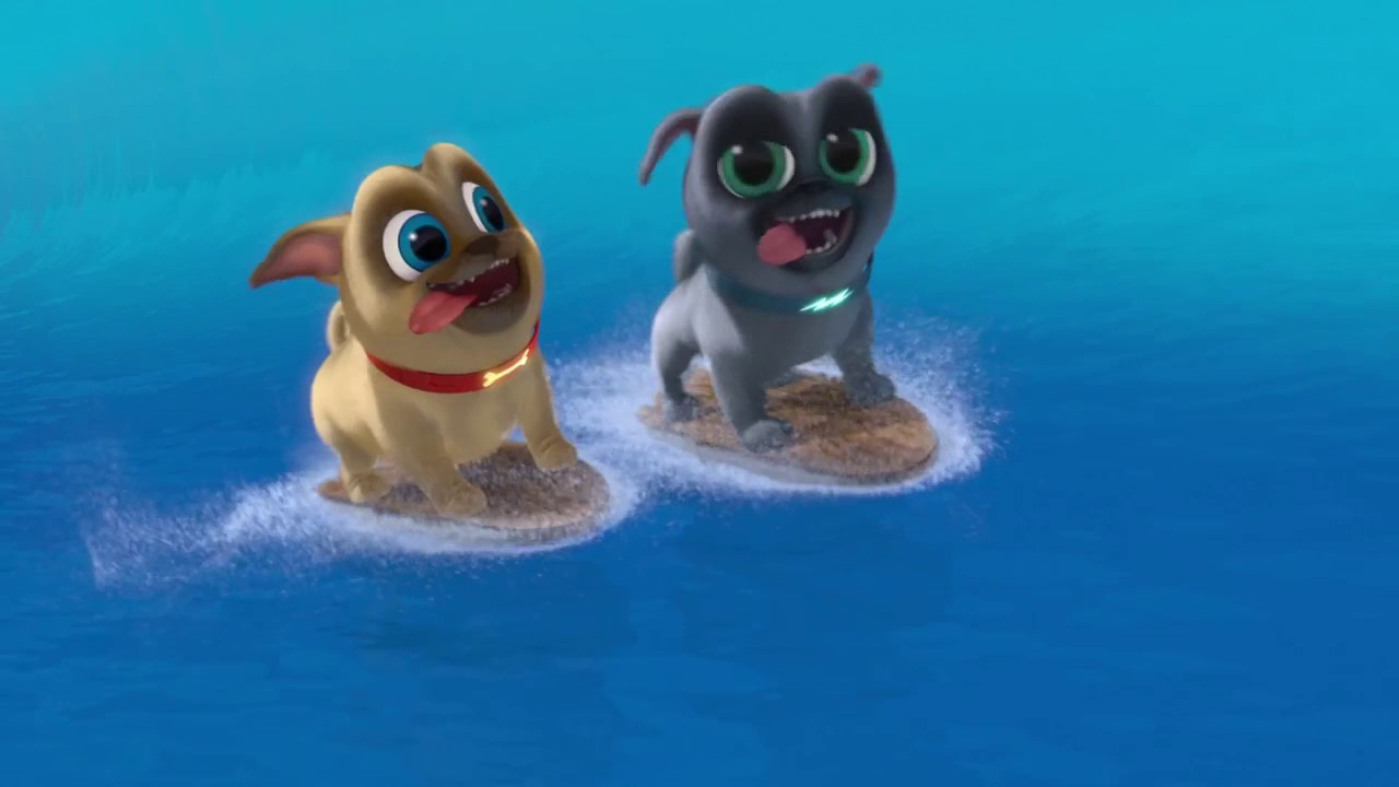 Getting A Puppy Or Dog Getting A Puppy Or Dog