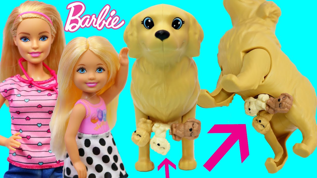 Pregnant BARBIE PUPPY BIRTH!!! Baby Delivery from Dog Goes To Barbie Pet Hospital + Chelsea is