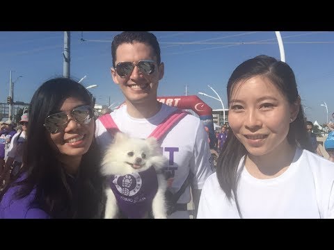 Puppy 5k Walk – STRUT YOUR MUTT