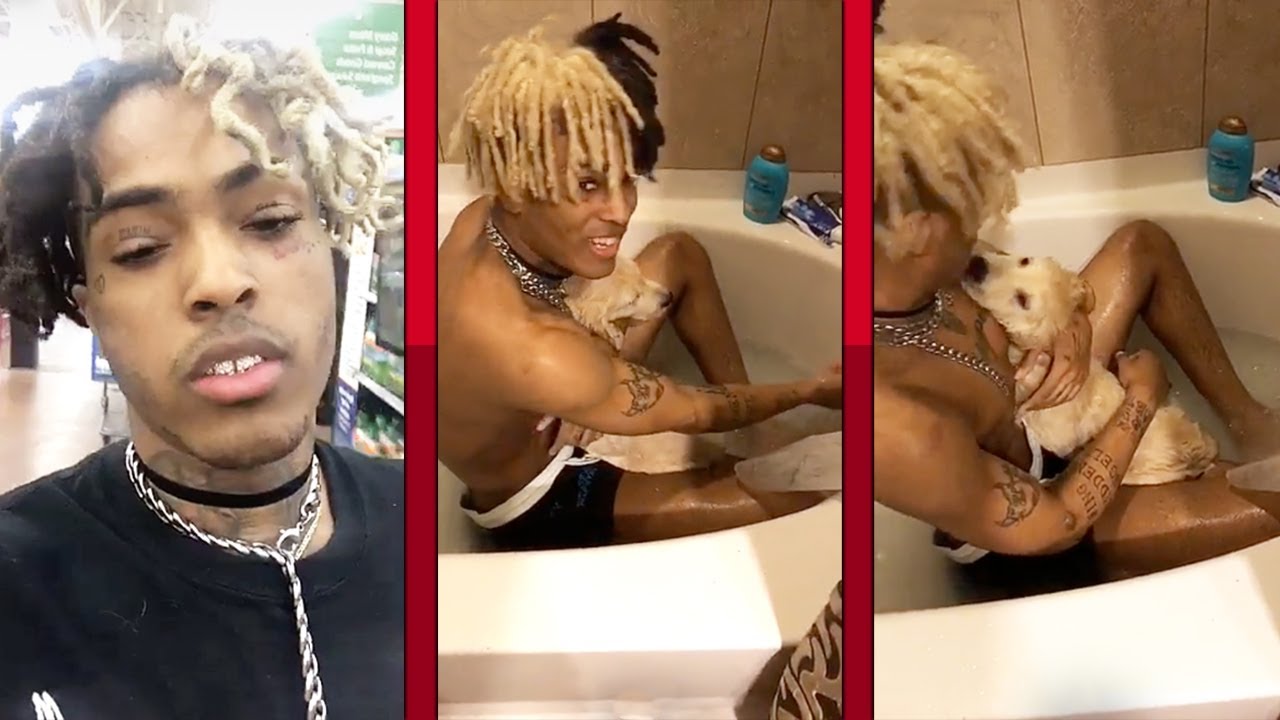 XXXTentacion Gives His Puppy His First Bath - Cute Puppies Videos 