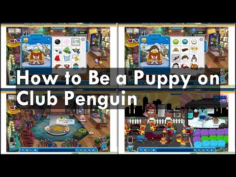 How to Be a Puppy on Club Penguin
