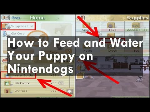 How to Feed and Water Your Puppy on Nintendogs