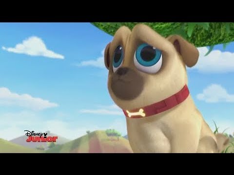 hi puppies 2 новости hi puppies 2 puppies hi puppies 2 новости hi puppies 2 puppies