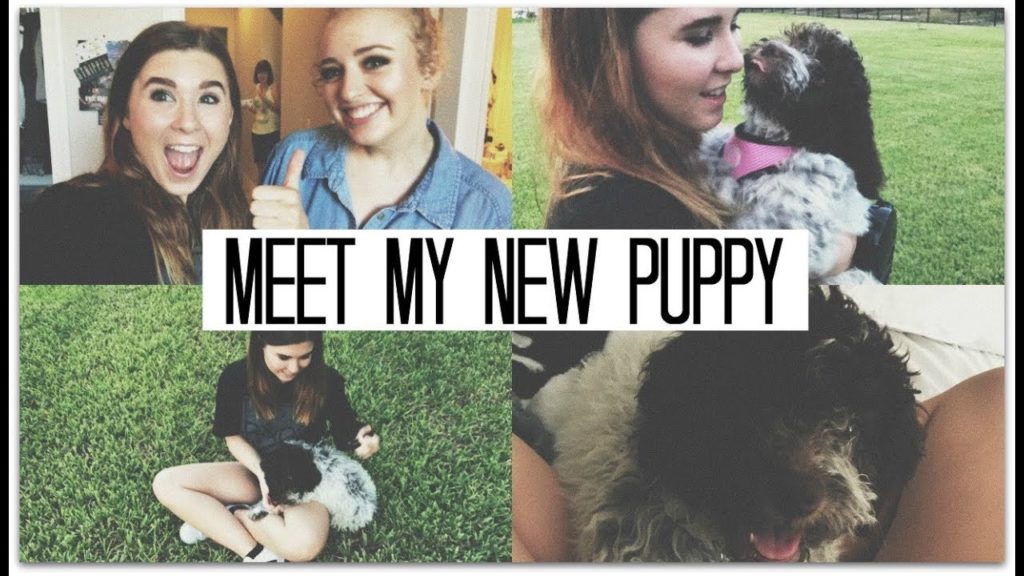 I GOT A PUPPY! | Vlog