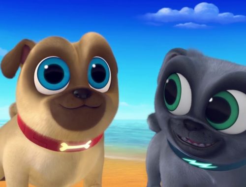 pug puppies hawaii pug puppies and kittens puppies pug puppies hawaii pug puppies and kittens puppies