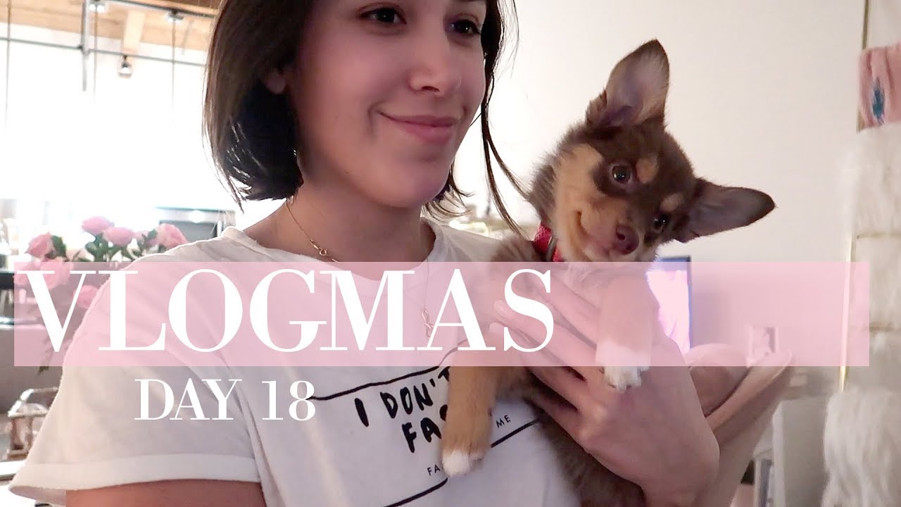 VLOGMAS PUPPY REACTS TO SEEING HERSELF IN VLOG & EASY RECIPE! DAY 18 | Franceska Garza - Cute ... VLOGMAS PUPPY REACTS TO SEEING HERSELF IN VLOG & EASY RECIPE! DAY 18 | Franceska Garza - Cute ...