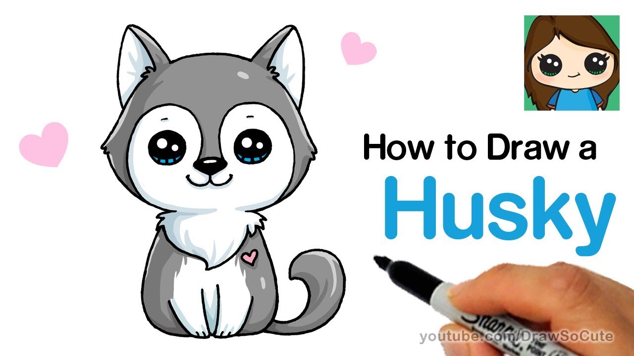 How to Draw a Husky Puppy Easy Cute Puppies Videos