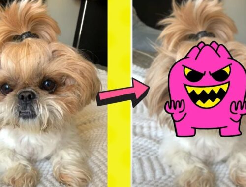 cute puppy transforms into a monster #shorts