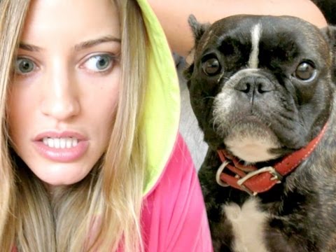 EPIC FAILS AND CUTE PUPPY!!!!
