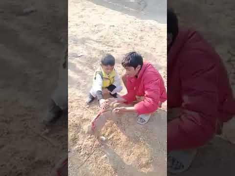 Baby playing with cute Puppy after rescue short video #shorts