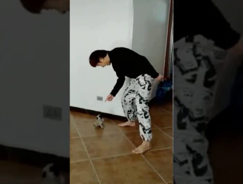 Dancing with cute puppy