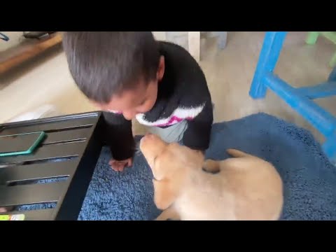 Rashu Playing With Cute Puppy | Rasbhari Cute Moments #Rasbhari