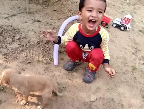Kids play with puppy | cute dog video compilation | cute puppy and baby playing together compilation