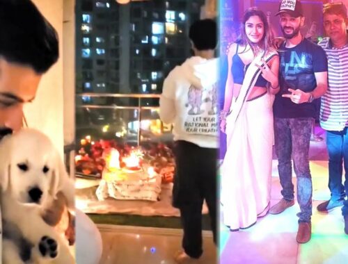 Naagin 5 | Sharad Malhotra surprise Birthday cake | Serial Gossips | Cute puppy