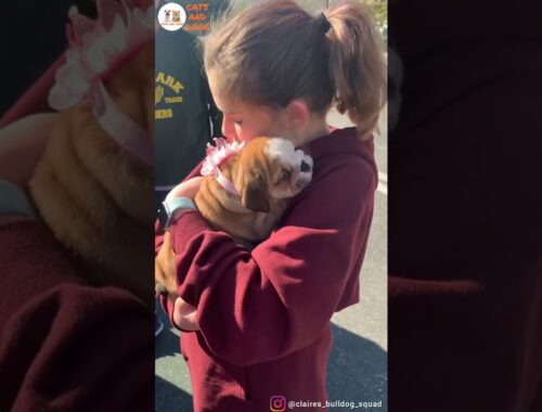 Sweet And Cute Puppy Owner Licks Daughter :)