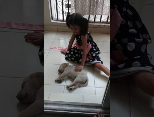 Ishika's new Friend | Cute Puppy | Labrador Puppy | Ishika And Papa Show