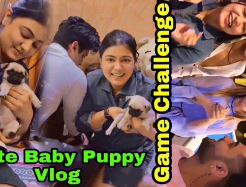Sohak Vs Dipesh Game Challenge & Cute Puppy Vlog | Surbhi Rathore and Mohak Narang Today Vlog Video