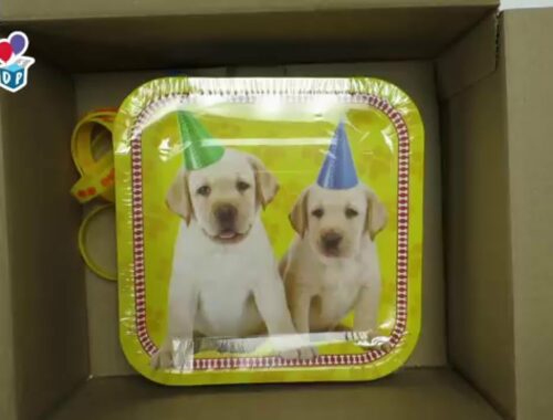 Cute Puppy Party Supplies are in Today's Party Box (2018)