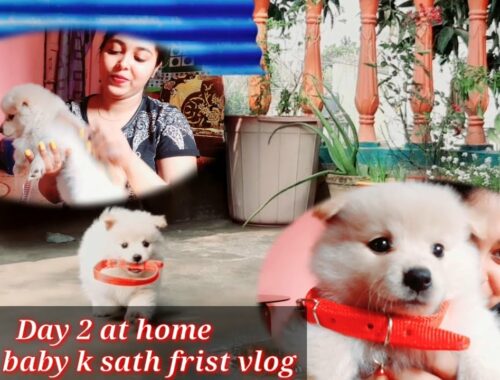 #petscare || Frist day vlog with my little puppy || cute puppy ever