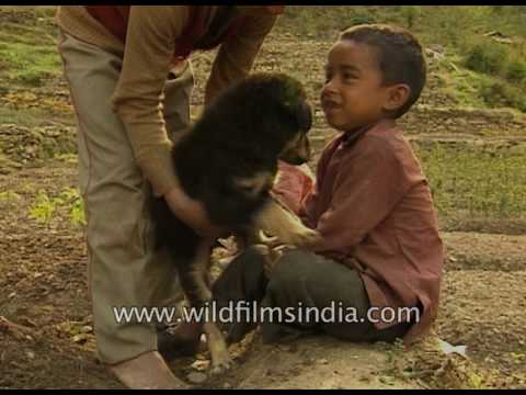Garhwali kid plays with a cute puppy