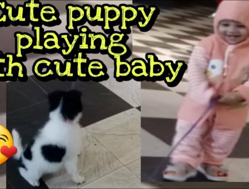 Cute puppy playing with baby || cute puppy videos || baby playing with puppy ||