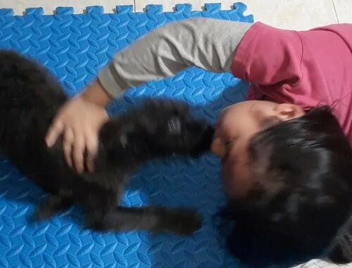 Cute Puppy Wants To Kissing But Baby Rejects