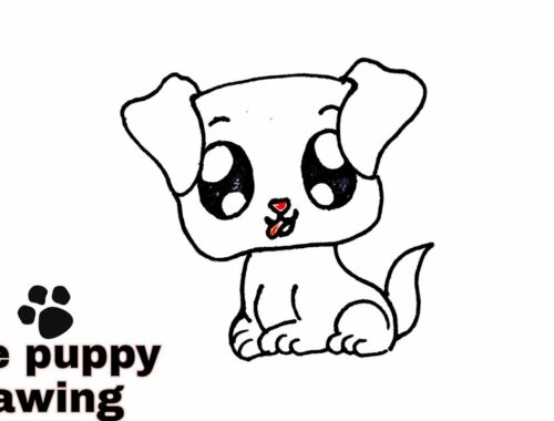 How to draw a cute puppy | puppy drawing