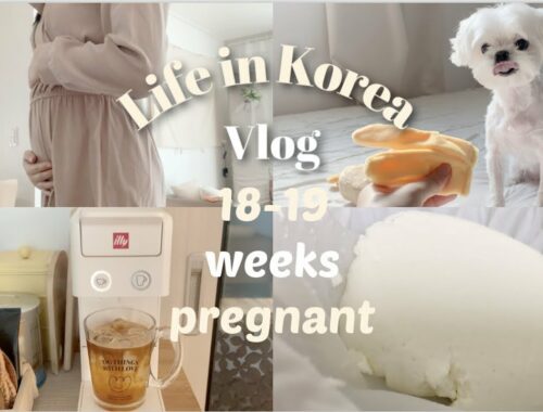 Pregnant During the Pandemic Vlog(Making Ricotta Cheese/Housework/Cute Puppy)