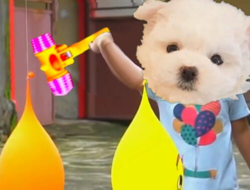 CUTE PUPPY EXPLODING YELLOW EXPLODING BALLOONS Keysha Singing Finger Family Song Learning Colors