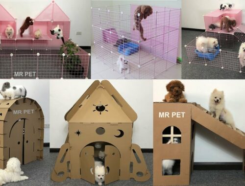 TOP 6 How To Make Dog House For Cute Pomeranian Puppies, Poodle and Kitten | MR PET