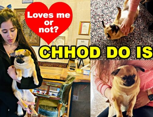 Rs. 50,000 ka FINE | Cuddle Time With My CUTE PUPPY