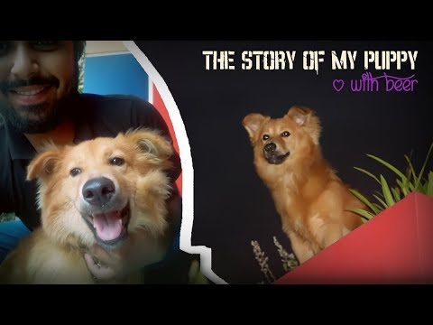My Cute Puppy Growing Up | Dog Lover of Bangladesh