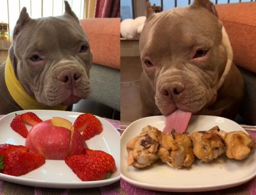 ASMR - Cute Animals - Cute Puppy Eating Leg Chicken, Strawberry,Apple Show #00254