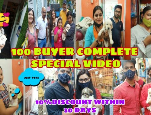 "JUST PETS " PETS SHOP SPECIAL IMAGE VIDEO | HAPPY PEOPLE CUTE PUPPY | CHEAP PRICE |