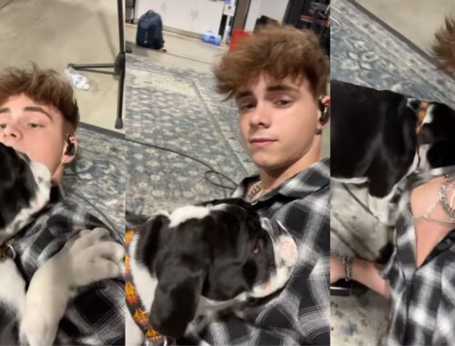 CORBYN BESSON playing with a CUTE PUPPY