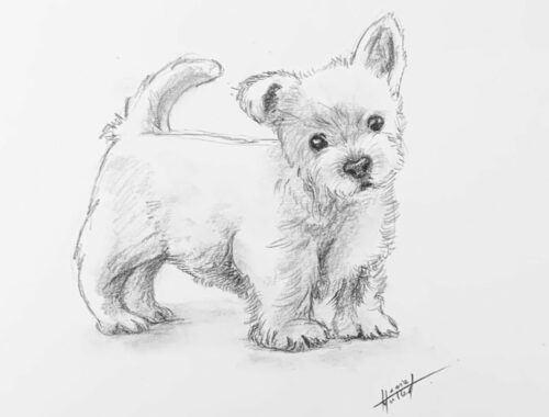 Cute puppy dog drawing #shorts