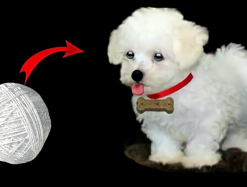 How To Make Cute Puppy | Home Decorating Ideas | Showpiece | Dog | FunX Decoration
