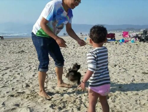 Baby at the Beach with cute Puppy!