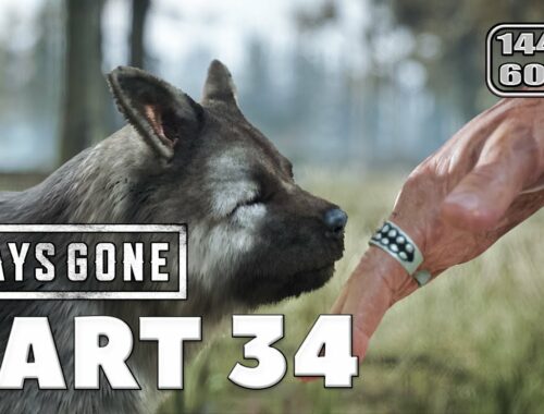 GETTING A CUTE PUPPY IN DAYS GONE Part 34 - PC Gameplay Walkthrough (FULL GAME)